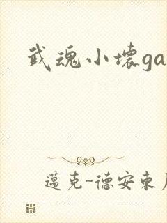 武魂小坏ga
