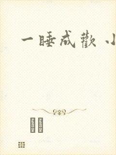 一睡成欢 小说