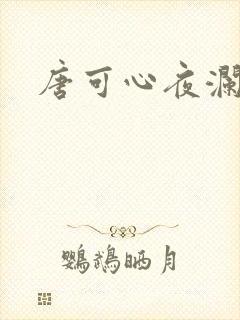 唐可心夜澜绝