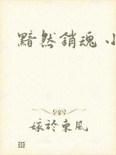 黯然销魂 小说
