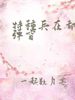 特种兵在都市无弹窗