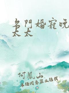 名门婚宠晚安赫太太