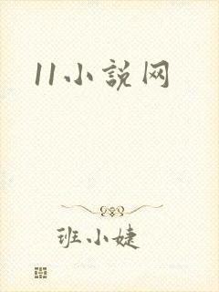 11小说网
