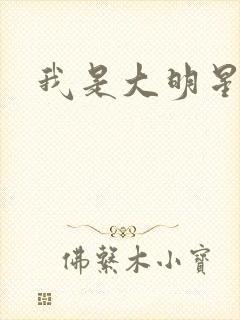 我是大明星周天