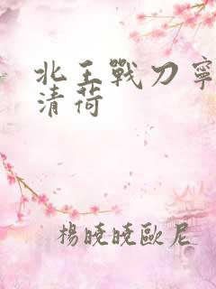 北王战刀宁北苏清荷