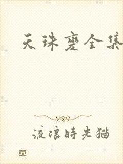 天珠变全集下载