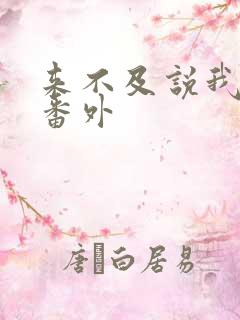 来不及说我爱你番外