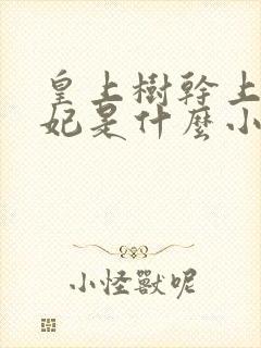 皇上树干上太子妃是什么小说