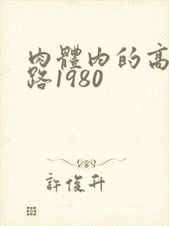 肉体内的高速公路1980