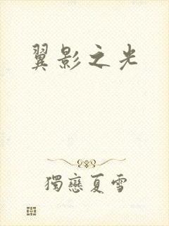 翼影之光