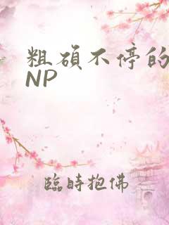 粗硕不停的进出NP