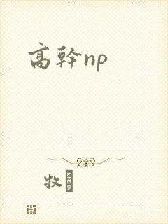 高干np