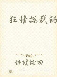 狂情总裁的囚妻