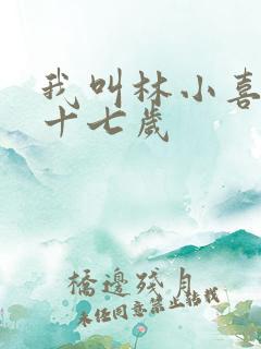 我叫林小喜今年十七岁