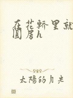 在花轿里就开始圆房h