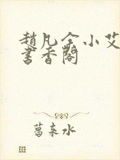 赵凡余小艾白毅书香阁