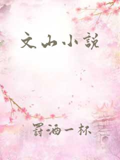 文山小说