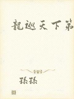 龙巡天下第四部