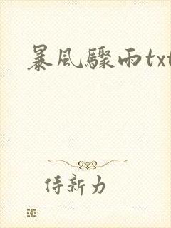 暴风骤雨txt