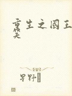 重生之国王的微笑