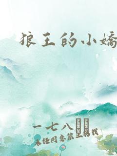 狼王的小娇妻