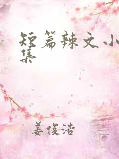短篇辣文小说合集