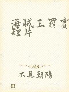 海贼王罗宾被h短片