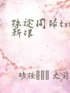 殊途同归txt新浪