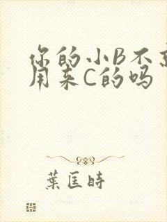 你的小B不就是用来C的吗