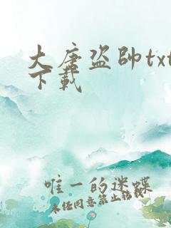 大唐盗帅txt下载