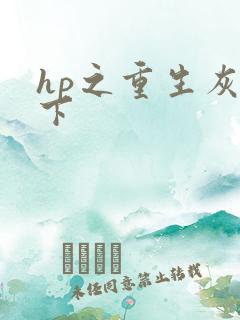 hp之重生灰猊下