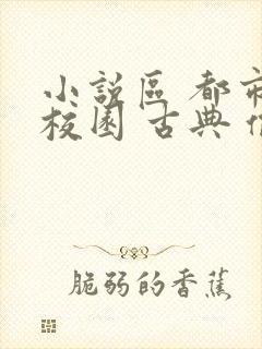 小说区 都市 校园 古典 偷拍