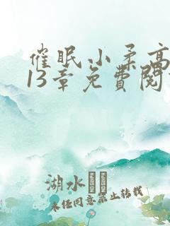 催眠小柔高达第13章免费阅读