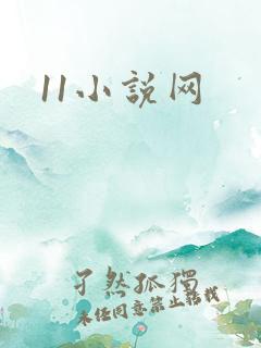 11小说网