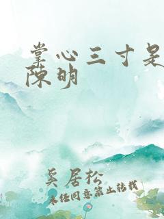 掌心三寸是人间陈明