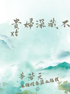 贵妇深藏不露txt