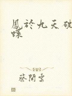 凤于九天破茧成蝶