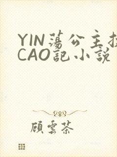 YIN荡公主挨CAO记小说