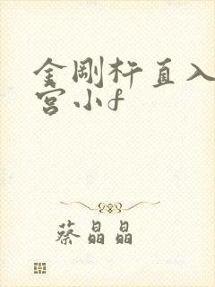 金刚杵直入莲花宫小f