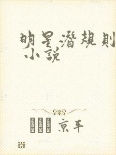 明星潜规则之皇 小说