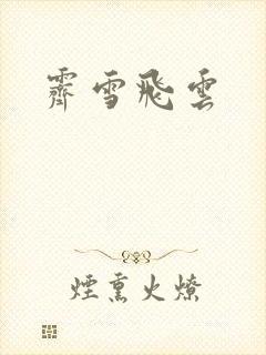 霁雪飞云