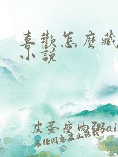 喜欢怎么藏不住小说