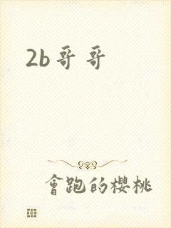 2b哥哥