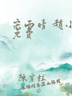 宋雨晴 赵小刚免费