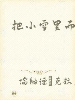 把小雪里面整满