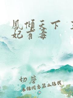 凤倾天下  王妃有毒