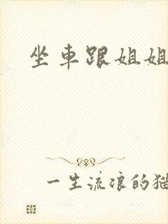 坐车跟姐姐那个