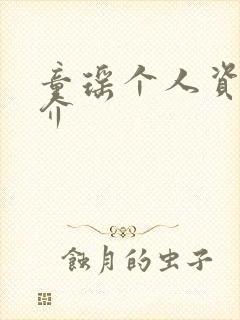 童瑶个人资料简介