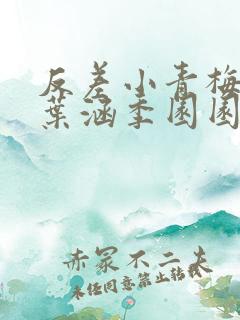 反差小青梅不经叶涵季园园