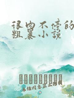 很肉不停的做很粗暴小说